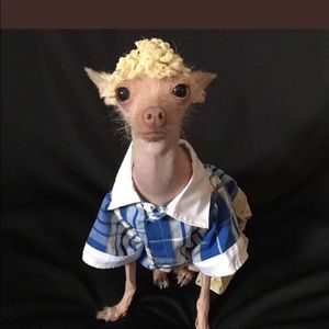 Meet your Posher, Trinity